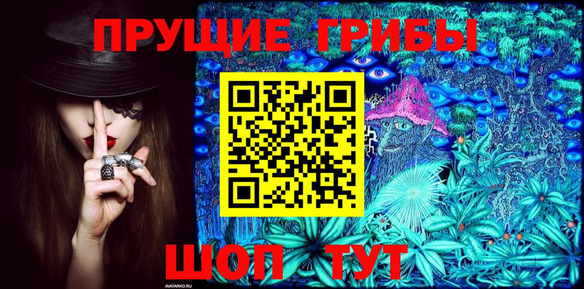 Кизляр  Псилоцибиновые грибы прущие грибы  купить наркотики сайты  Вход с VPN 