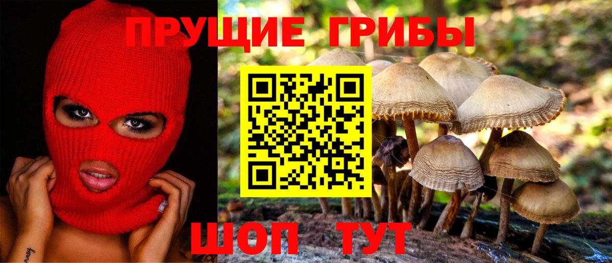 Галлюциногенные грибы GOLDEN TEACHER Кизляр